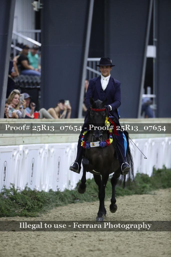 Proof 25R13_07654