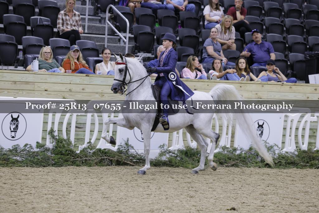 Proof 25R13_07655