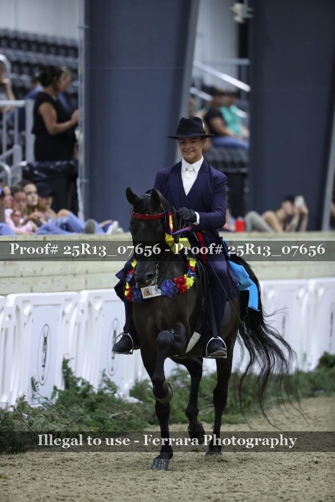 Proof 25R13_07656