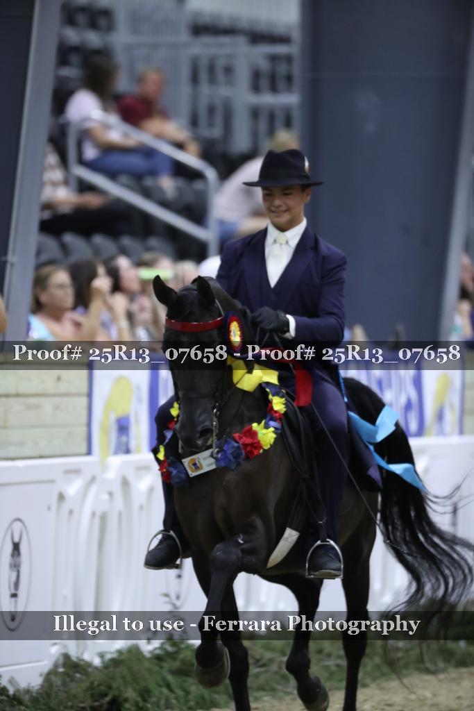 Proof 25R13_07658