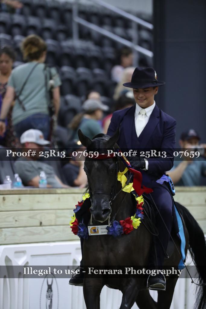 Proof 25R13_07659