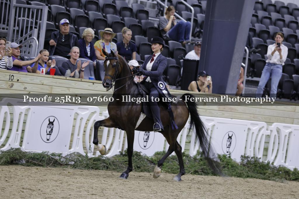 Proof 25R13_07660
