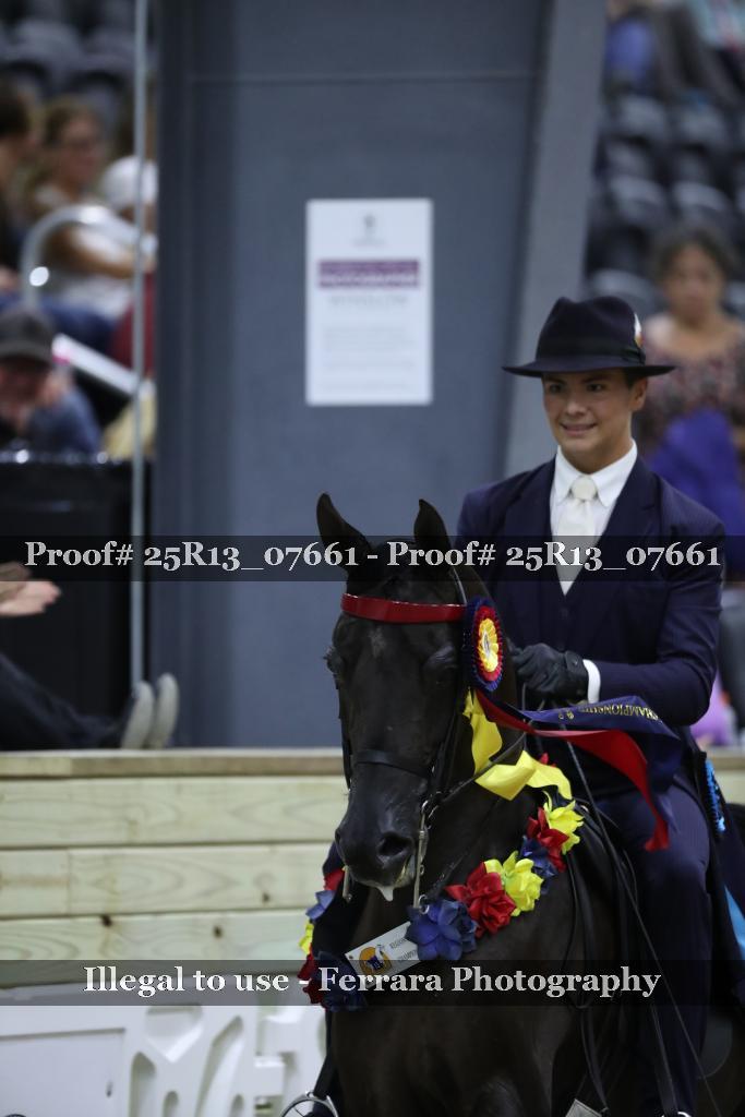 Proof 25R13_07661