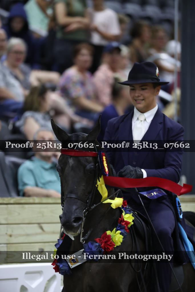 Proof 25R13_07662