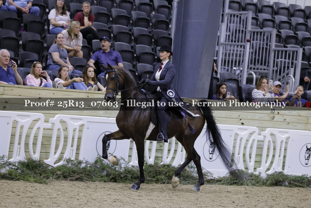 Proof 25R13_07663
