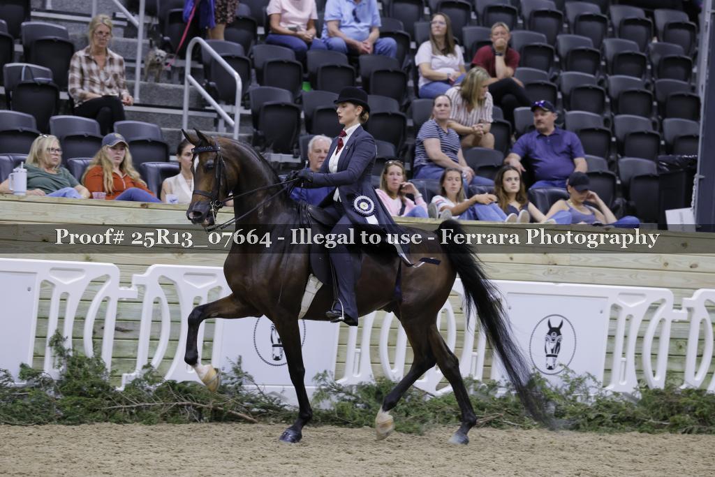 Proof 25R13_07664