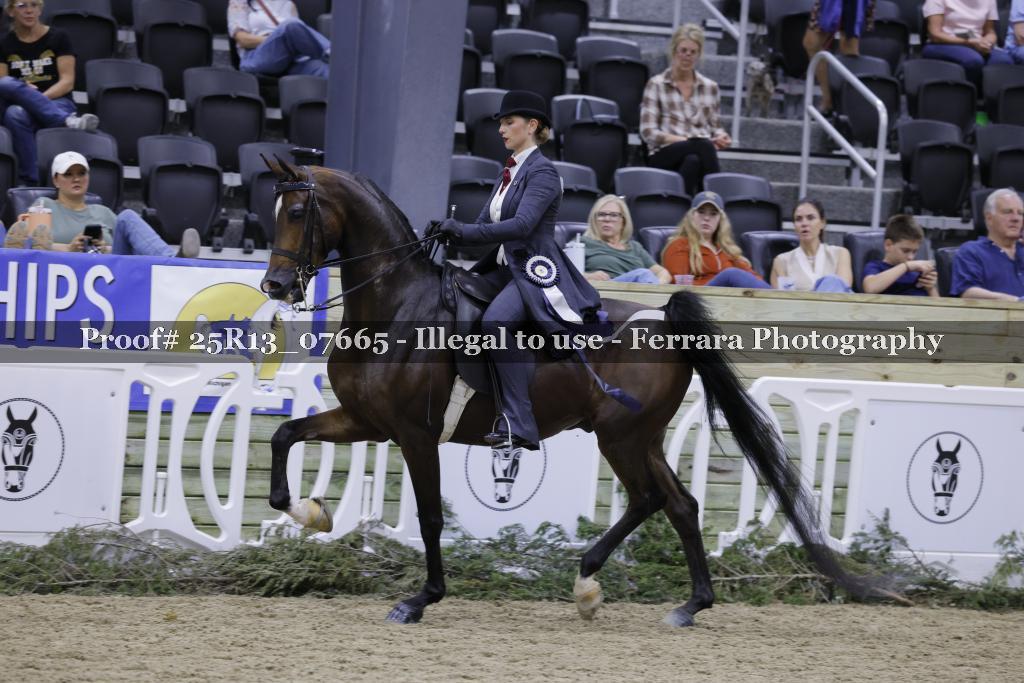 Proof 25R13_07665