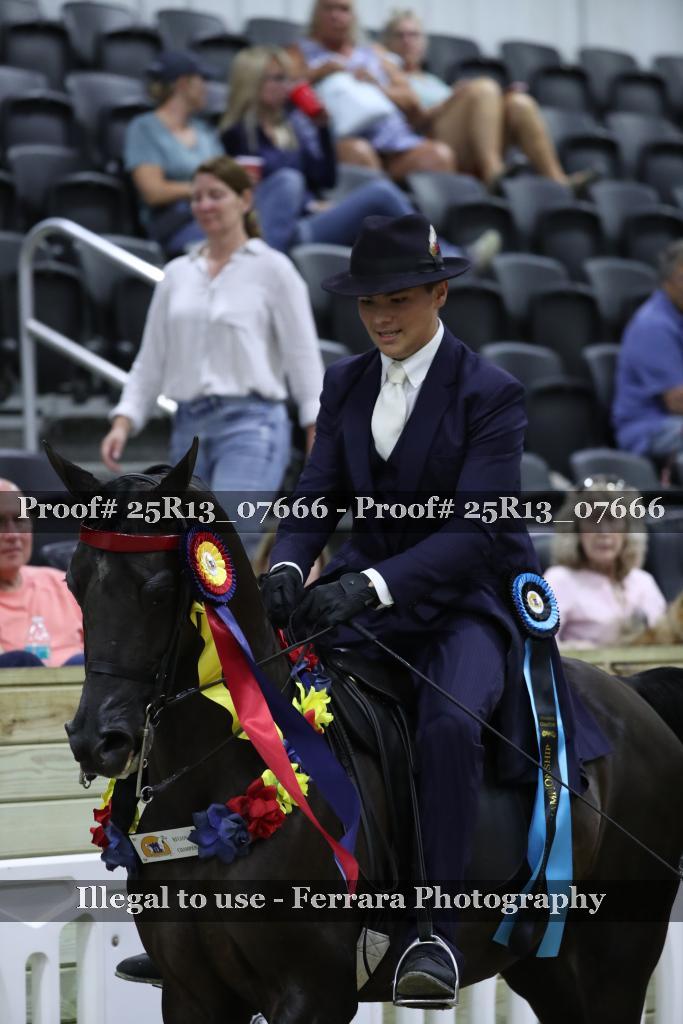 Proof 25R13_07666