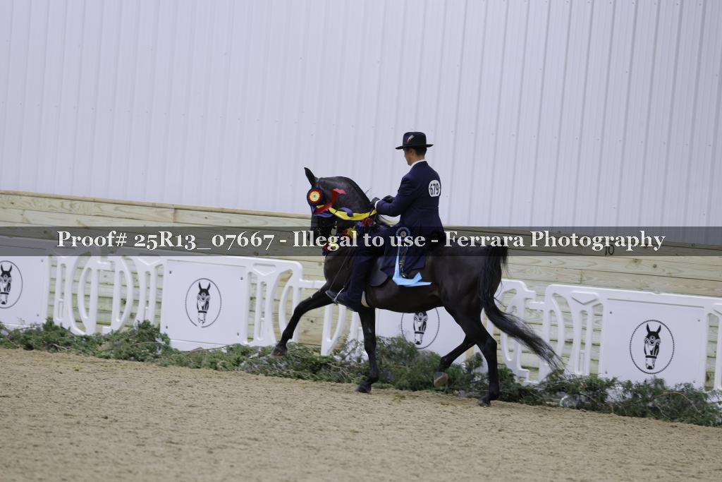 Proof 25R13_07667