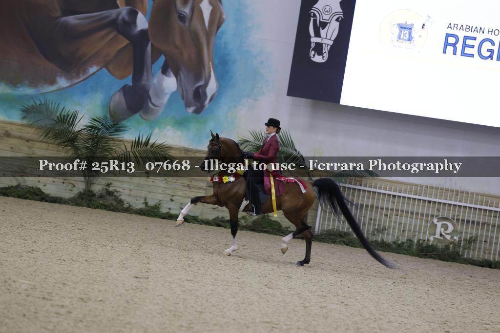 Proof 25R13_07668