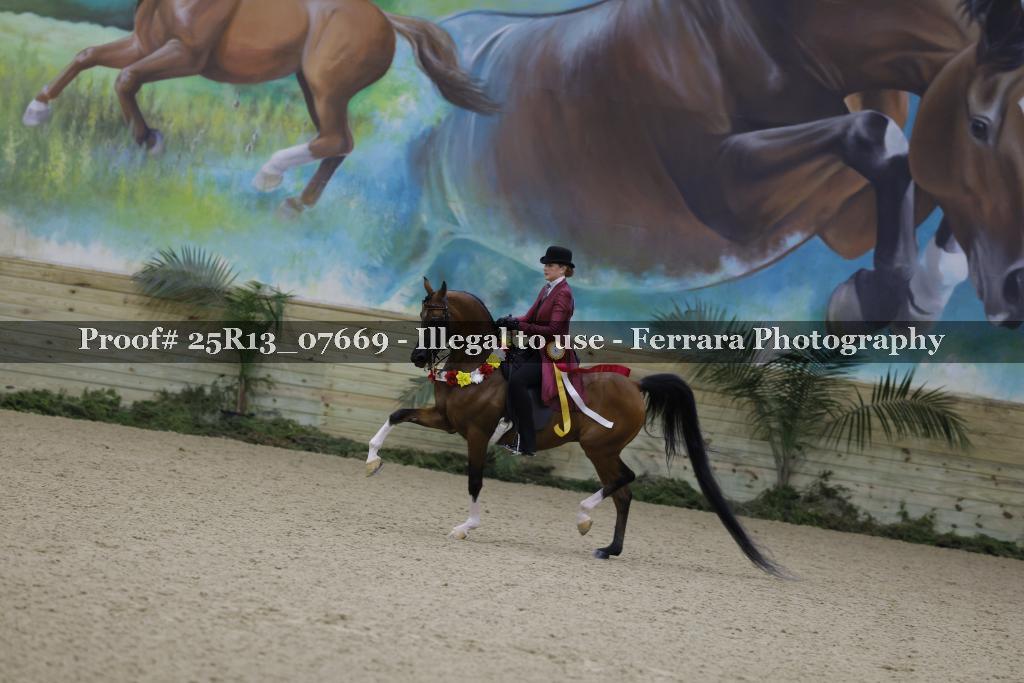 Proof 25R13_07669