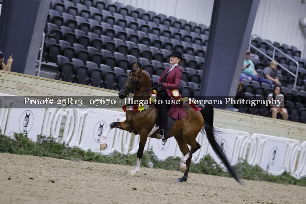 Proof 25R13_07670