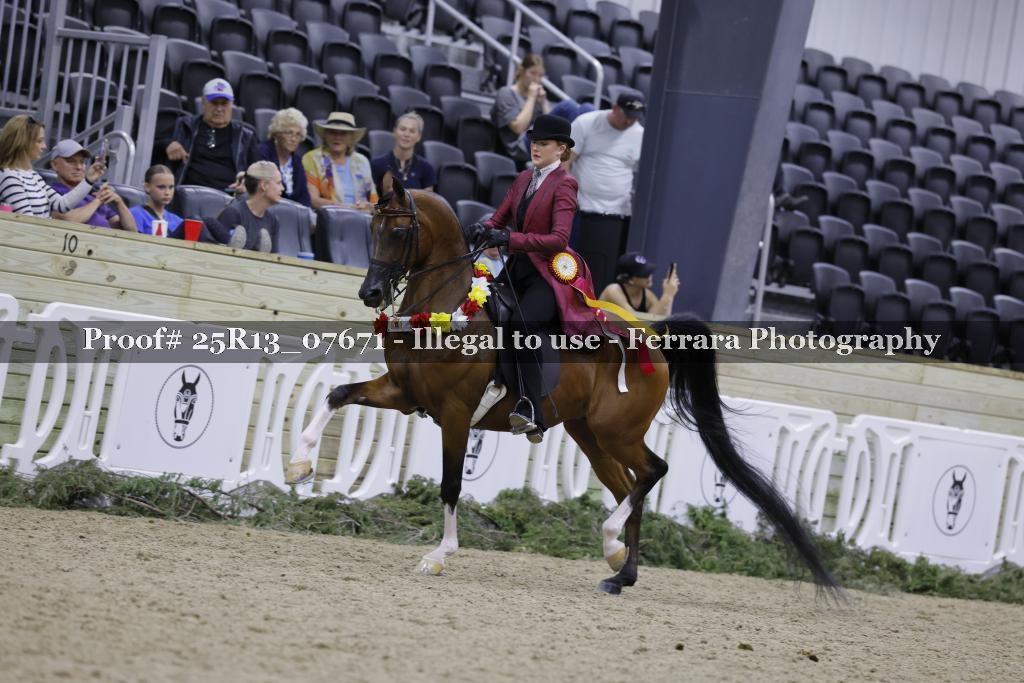 Proof 25R13_07671