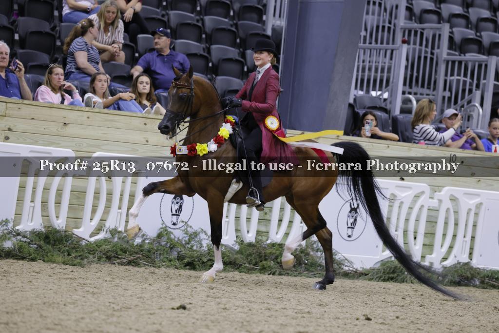 Proof 25R13_07672