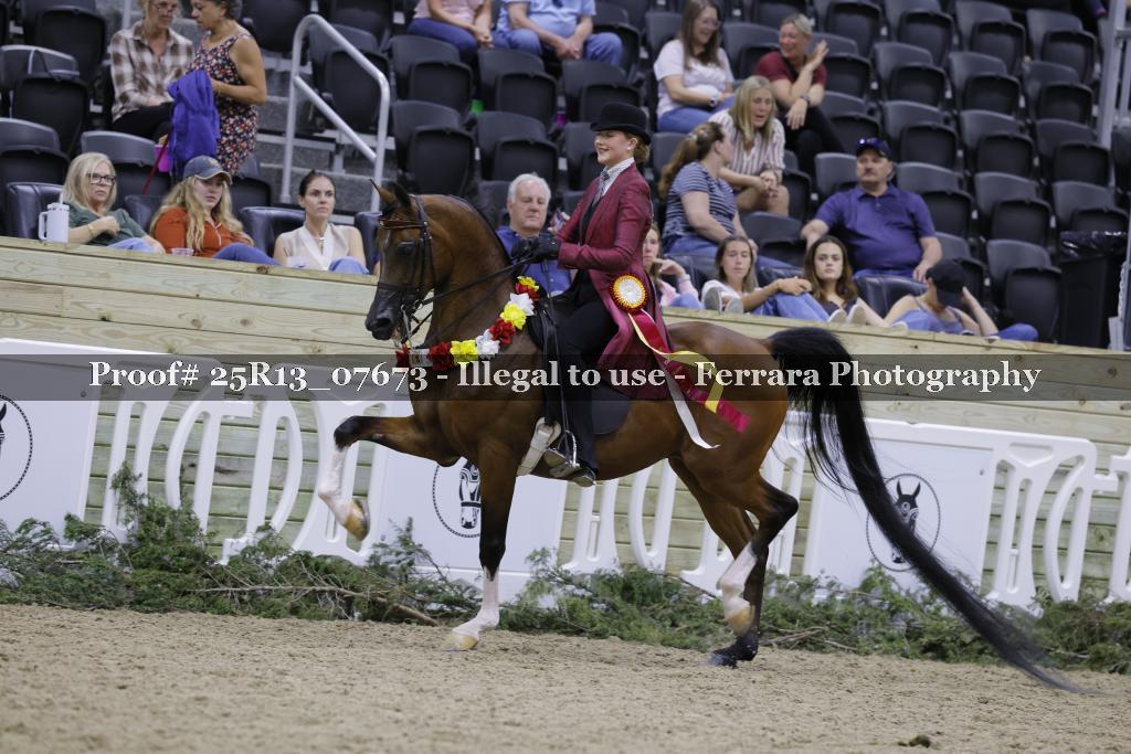 Proof 25R13_07673