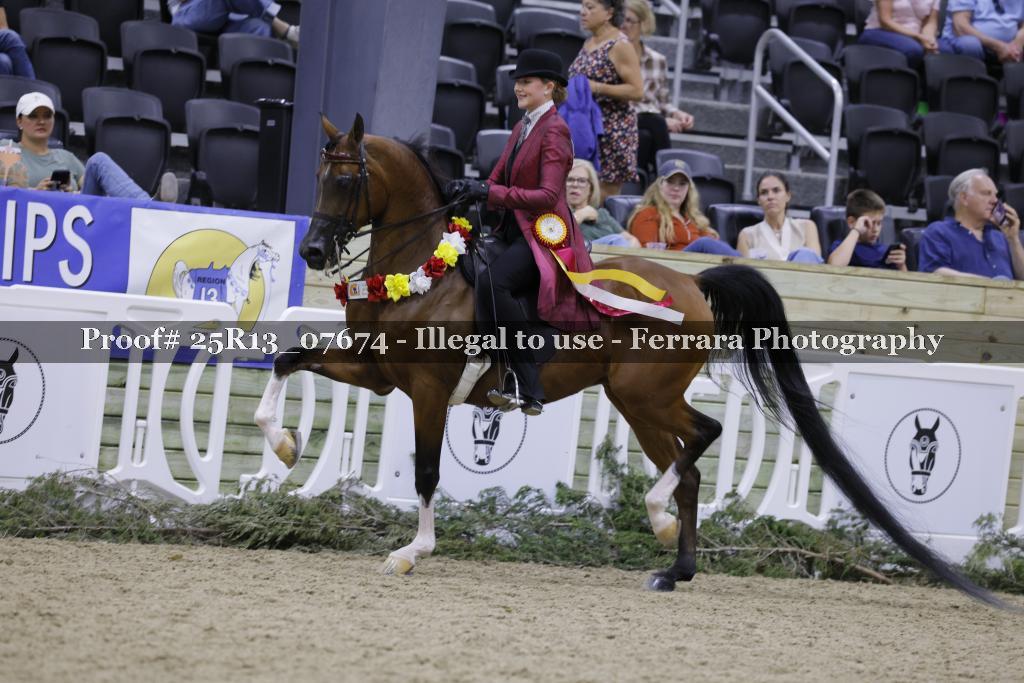 Proof 25R13_07674