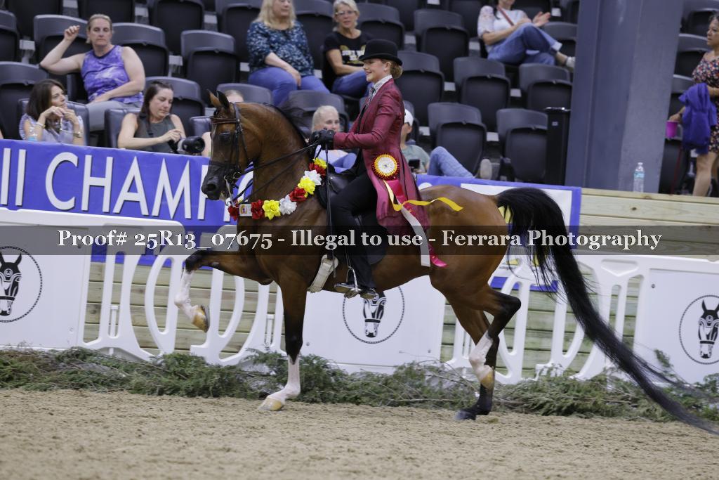 Proof 25R13_07675