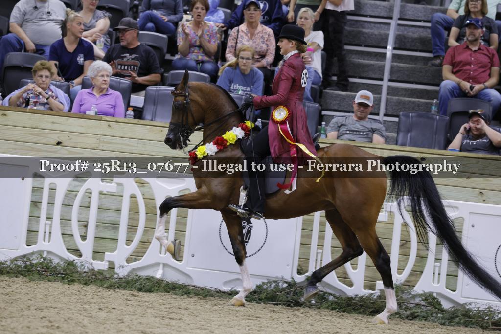 Proof 25R13_07677