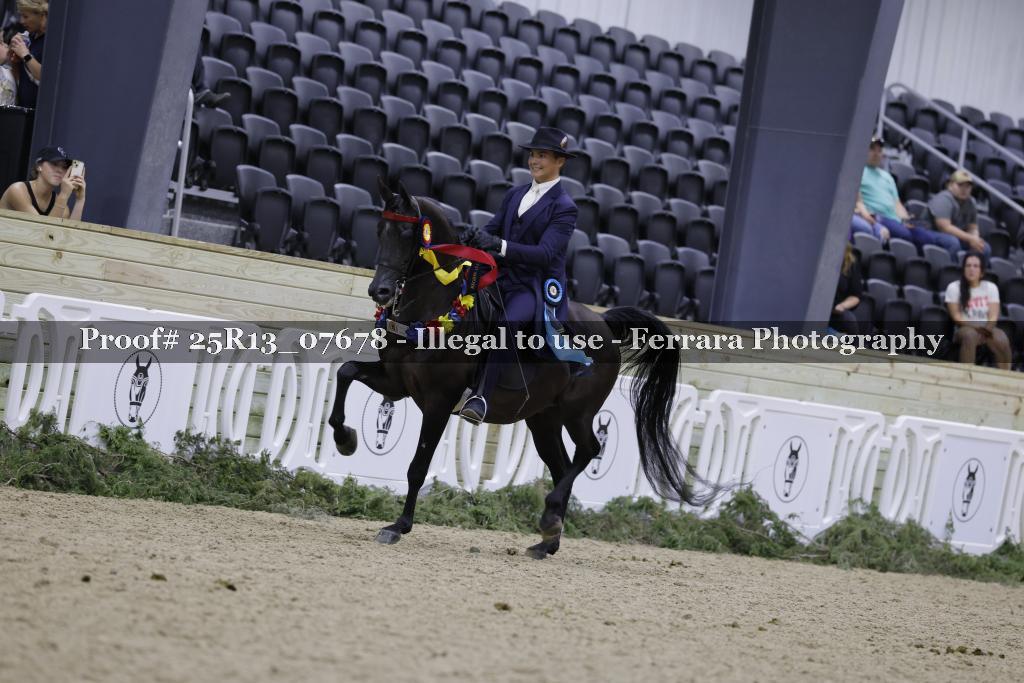 Proof 25R13_07678