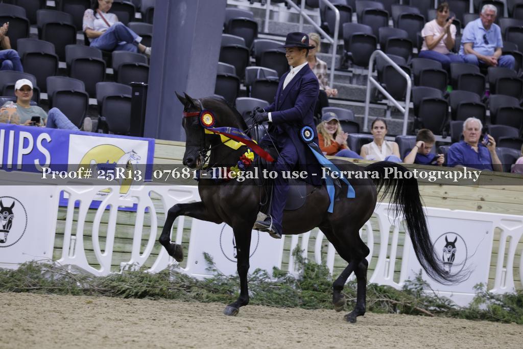 Proof 25R13_07681