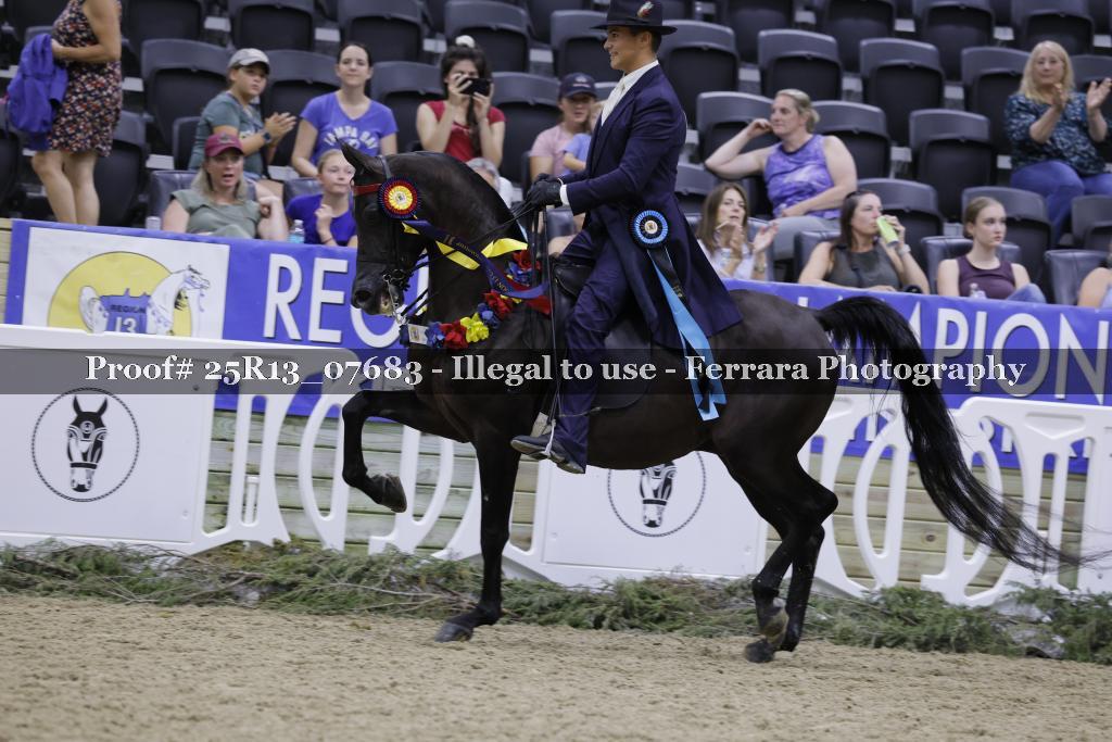 Proof 25R13_07683