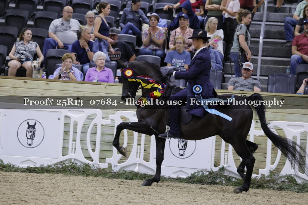 Proof 25R13_07684