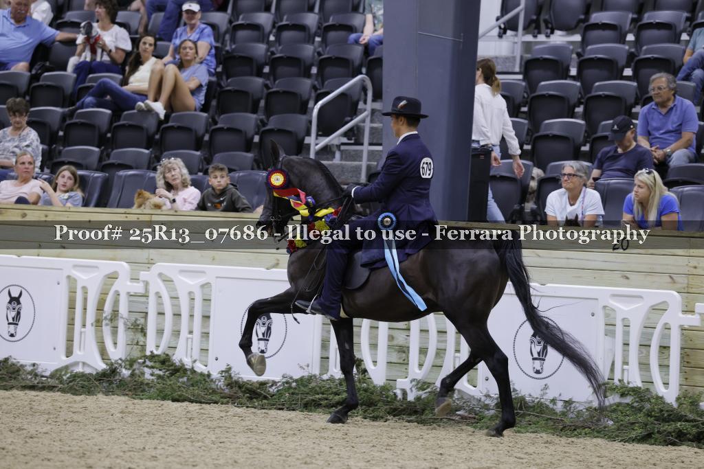 Proof 25R13_07686