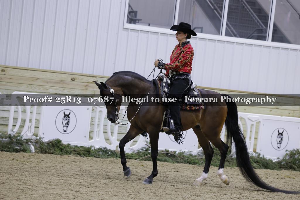 Proof 25R13_07687