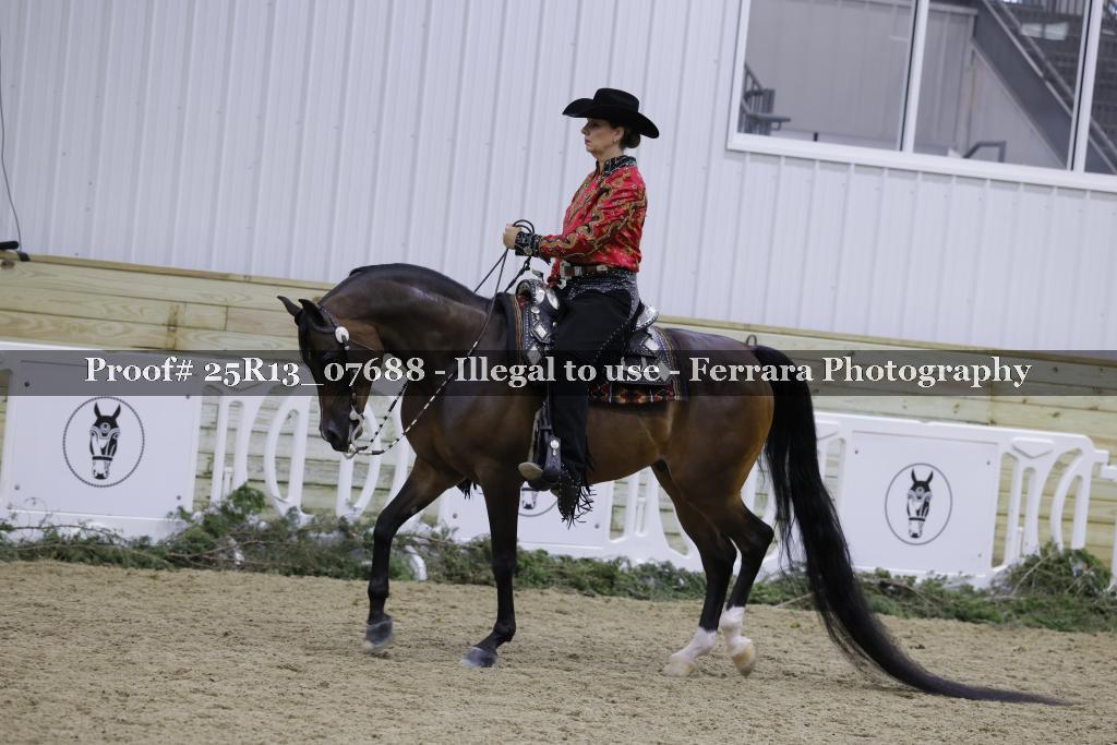 Proof 25R13_07688