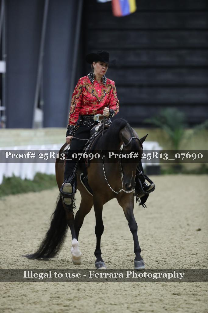 Proof 25R13_07690