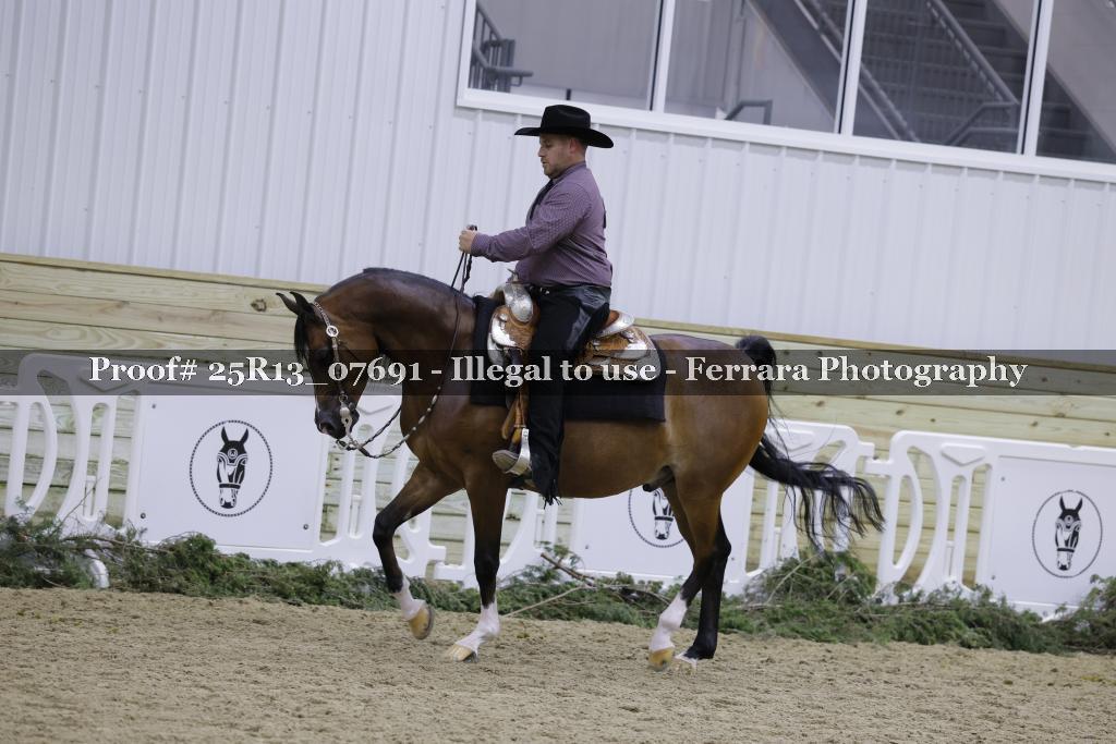 Proof 25R13_07691