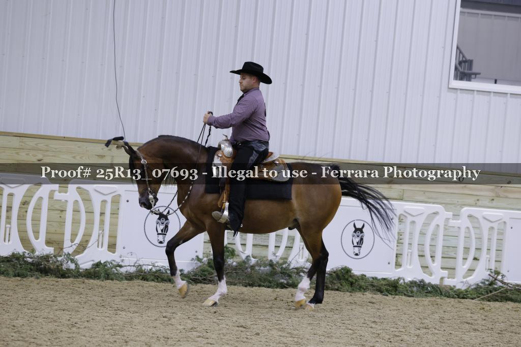 Proof 25R13_07693