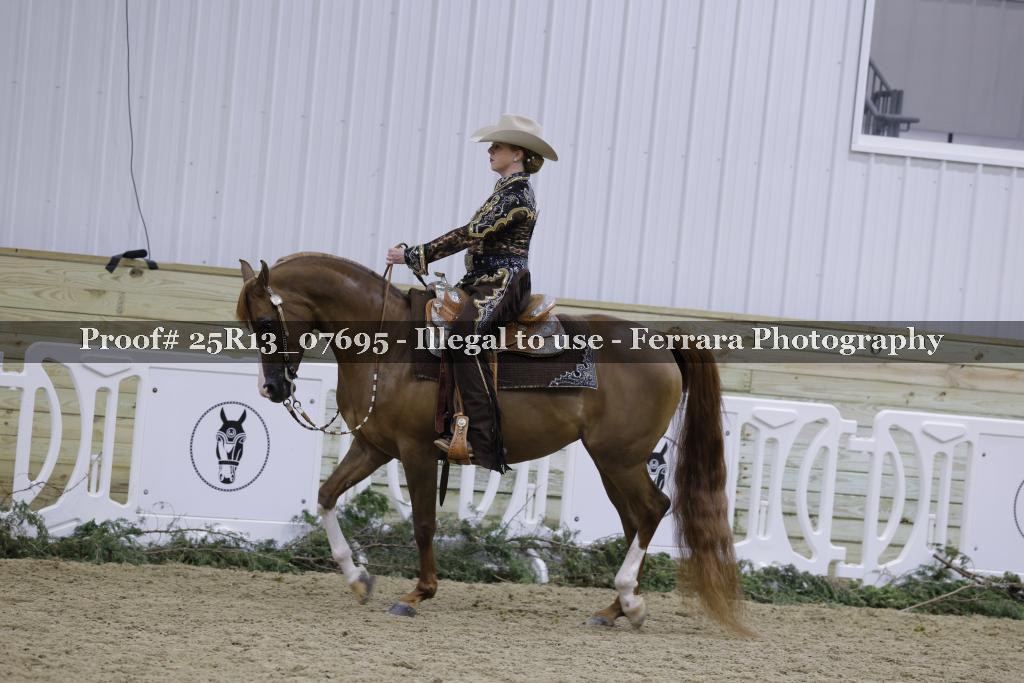 Proof 25R13_07695