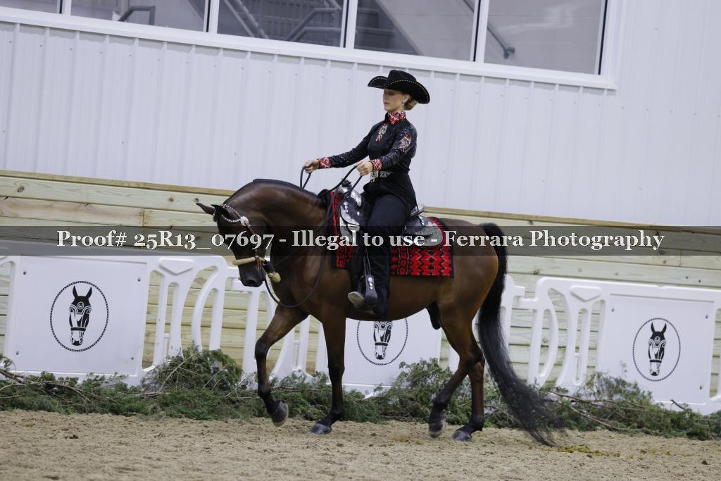 Proof 25R13_07697