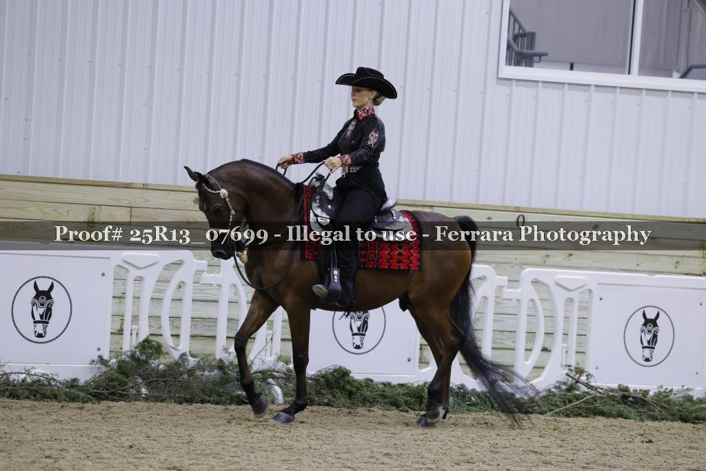 Proof 25R13_07699