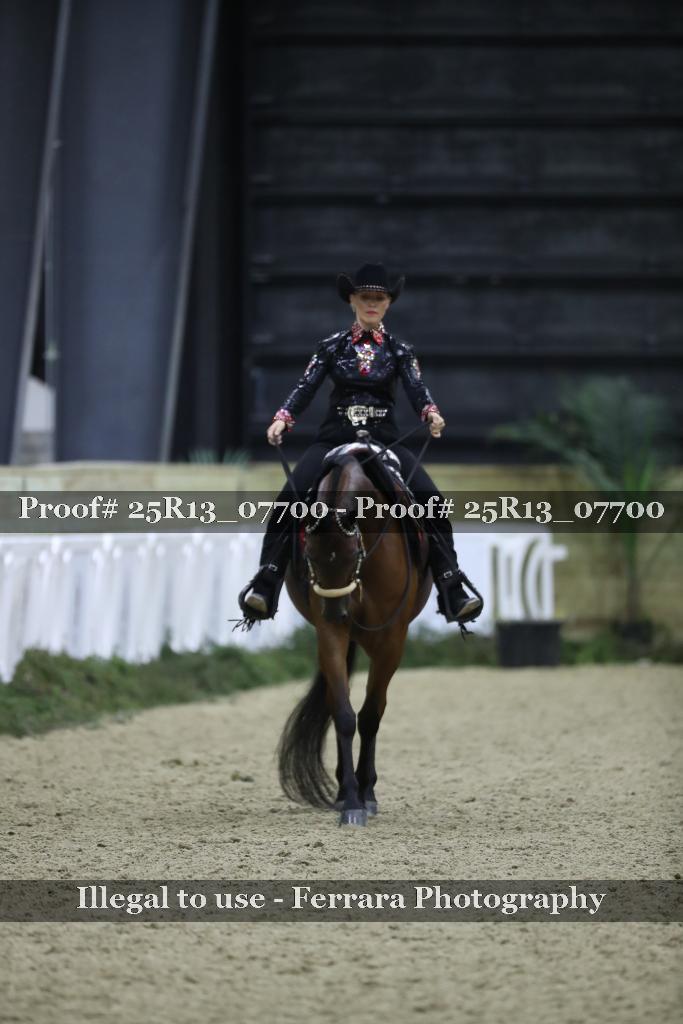 Proof 25R13_07700