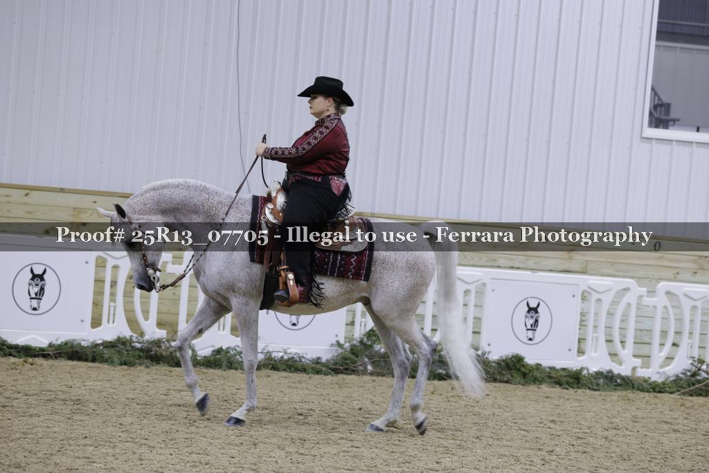 Proof 25R13_07705