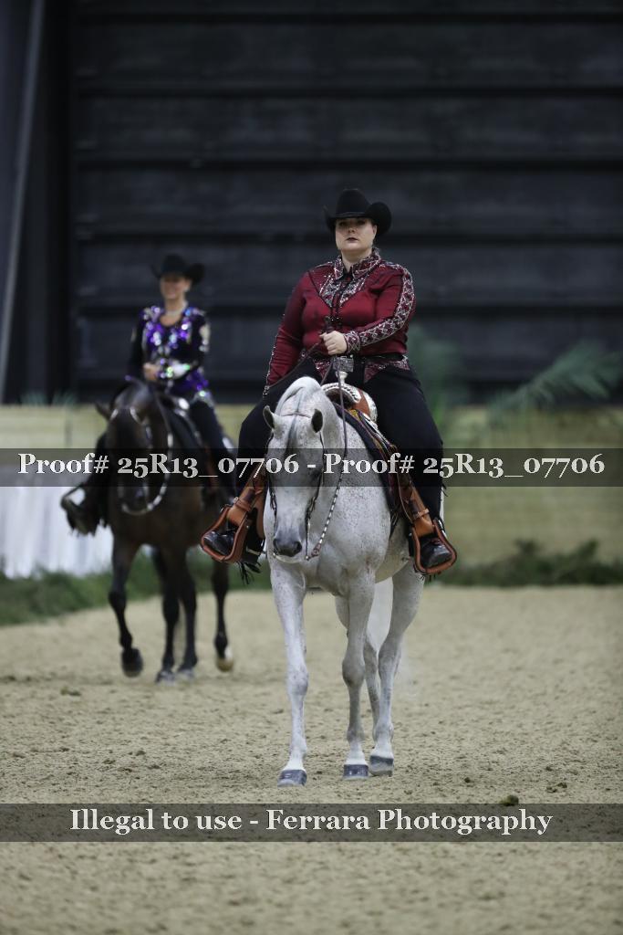 Proof 25R13_07706