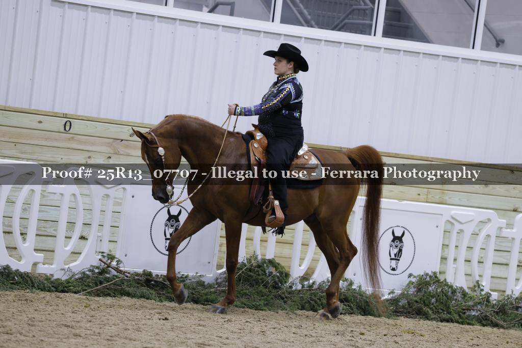 Proof 25R13_07707