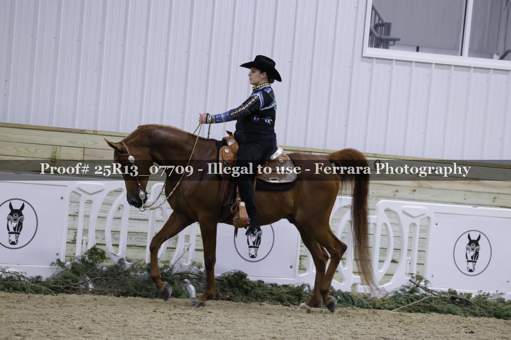 Proof 25R13_07709