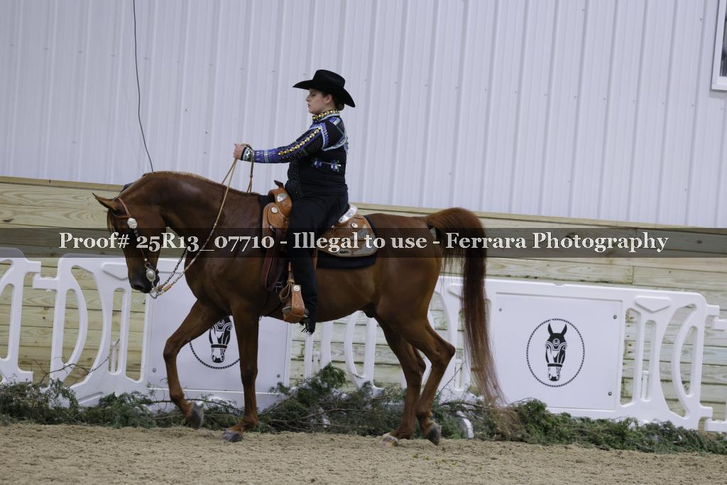 Proof 25R13_07710