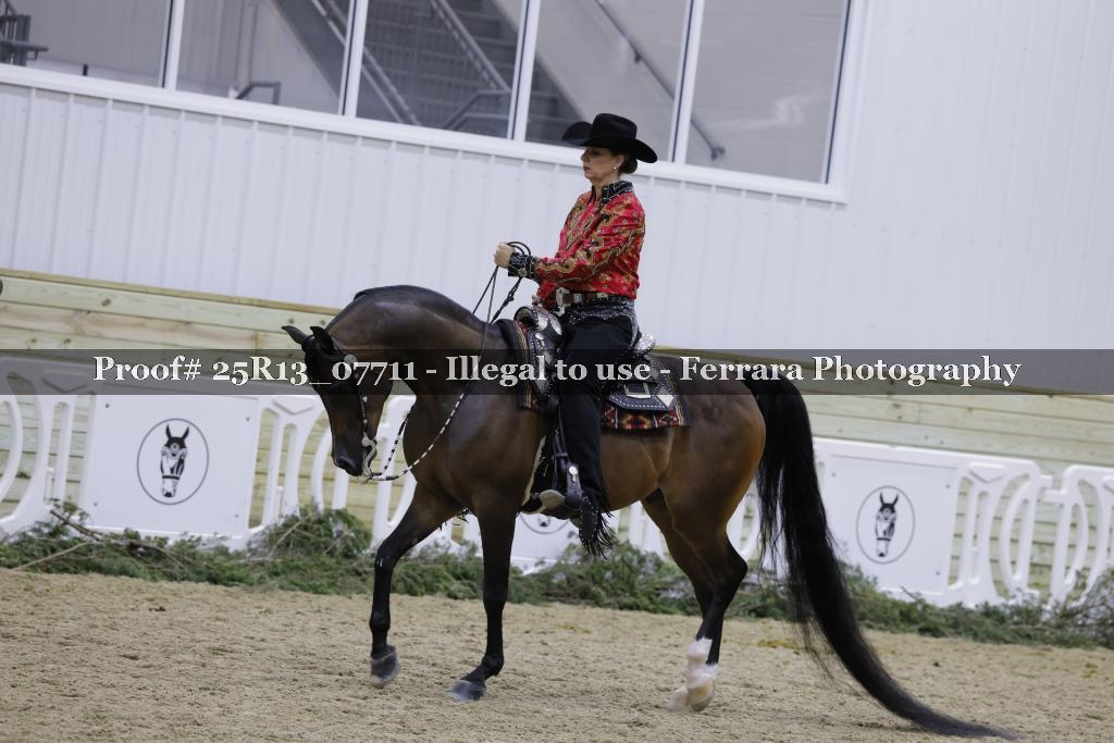 Proof 25R13_07711