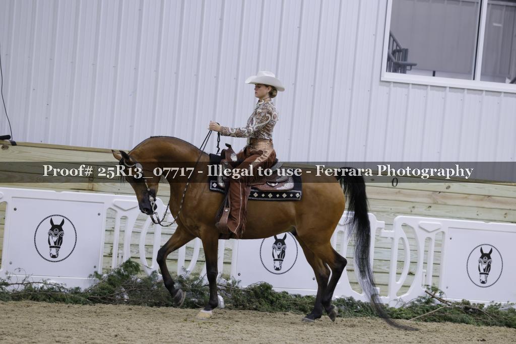 Proof 25R13_07717