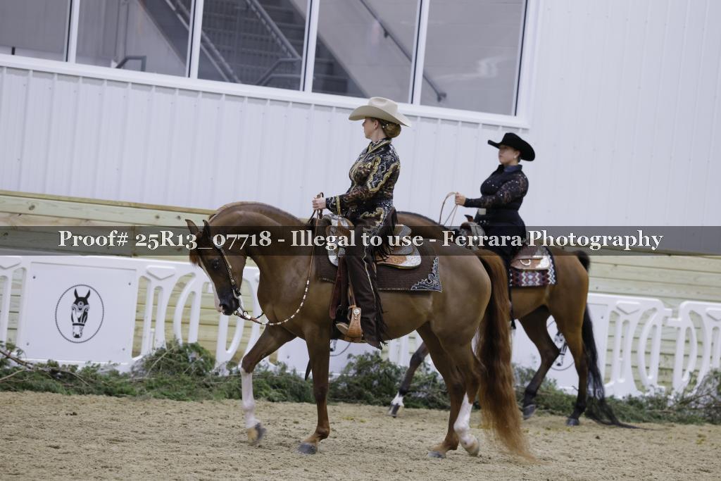 Proof 25R13_07718