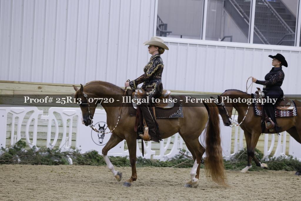 Proof 25R13_07720