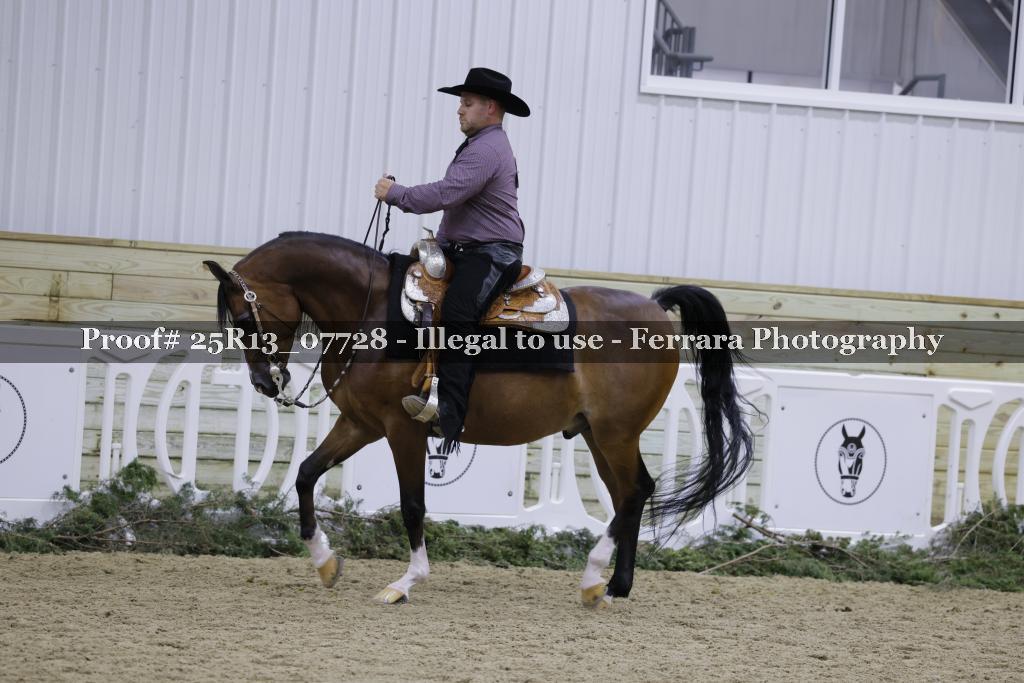 Proof 25R13_07728