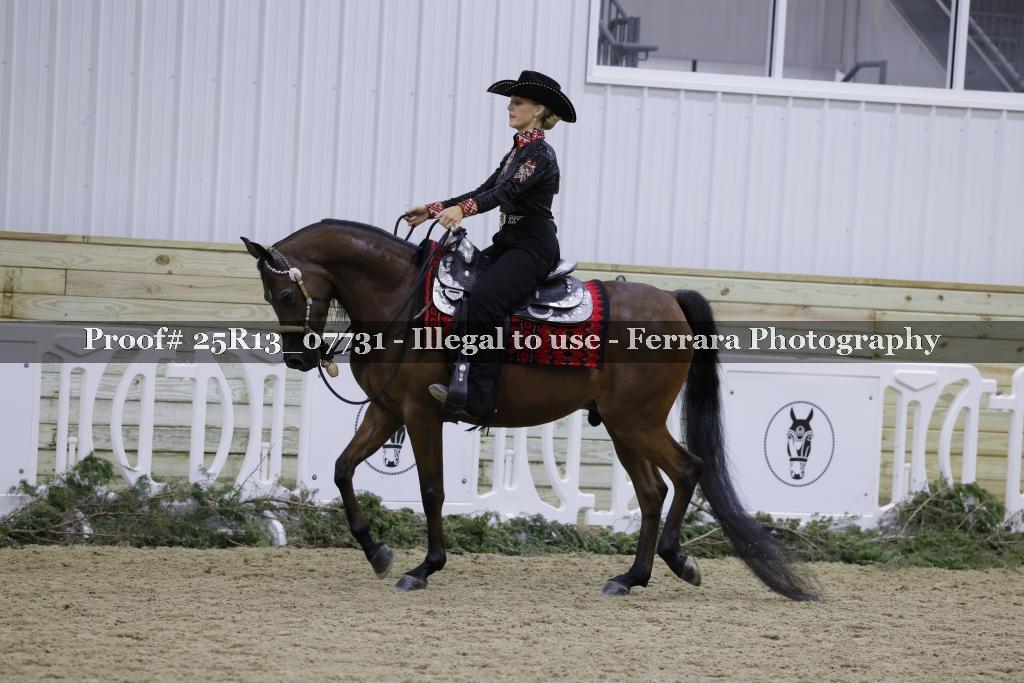 Proof 25R13_07731