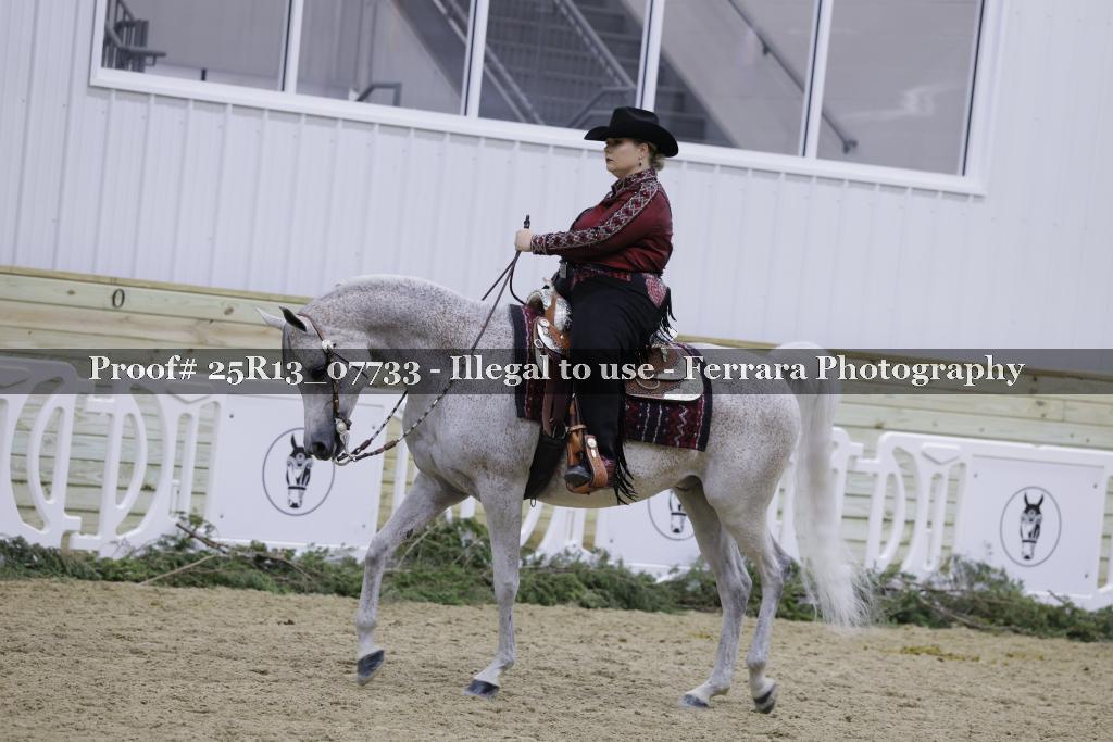 Proof 25R13_07733