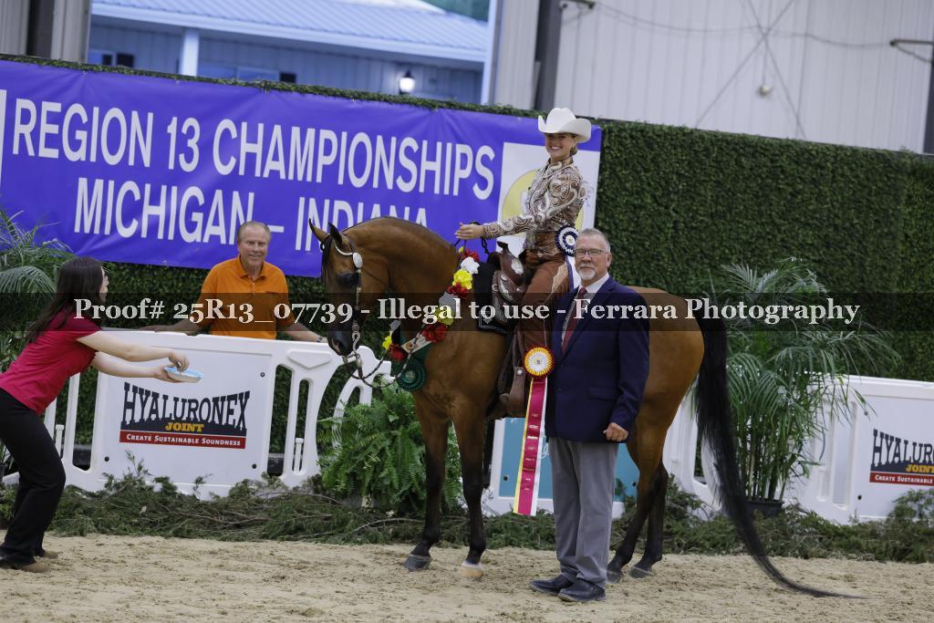 Proof 25R13_07739