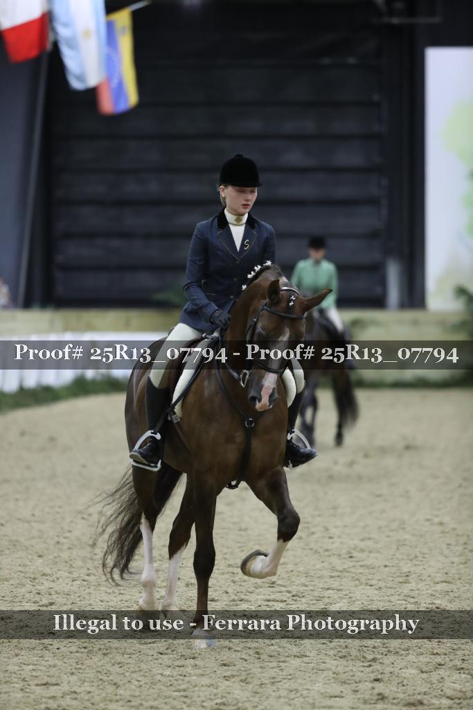 Proof 25R13_07794